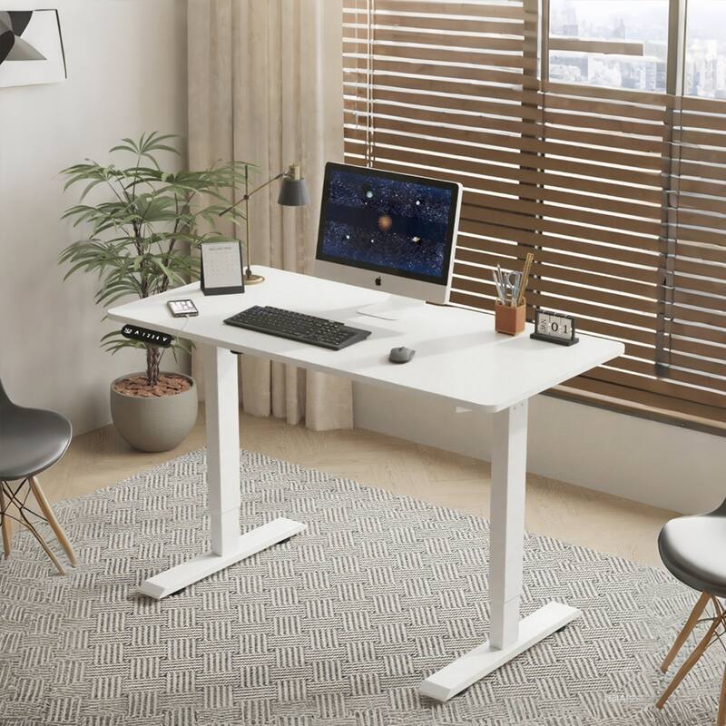 Rossetta 55" Electric Height Adjustable Standing Desk with Double Beam Single Motor