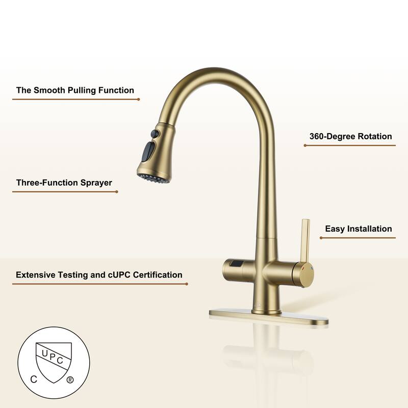 Single-Handle Pull-Out Sprayer Kitchen Faucet with Digital Display
