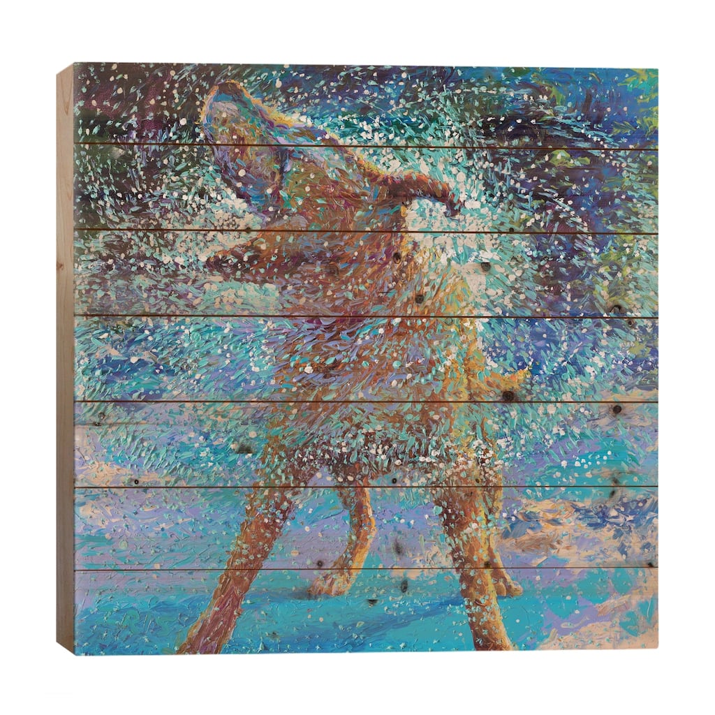 Swimmin' In Ice Print On Wood by Iris Scott - Multi-Color