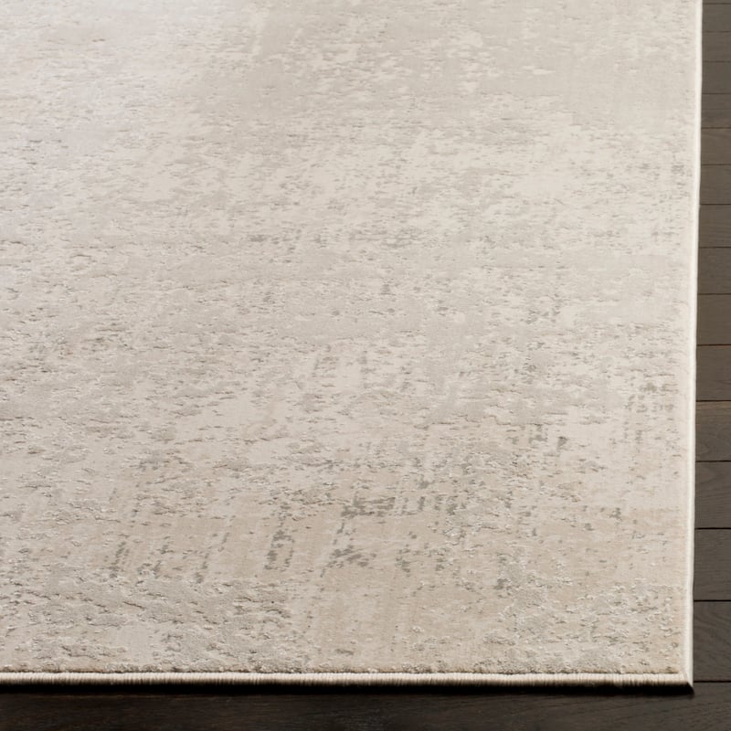 SAFAVIEH Princeton Arra Modern Distressed Rug