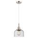 Option Polished Nickel / Seedy Shade