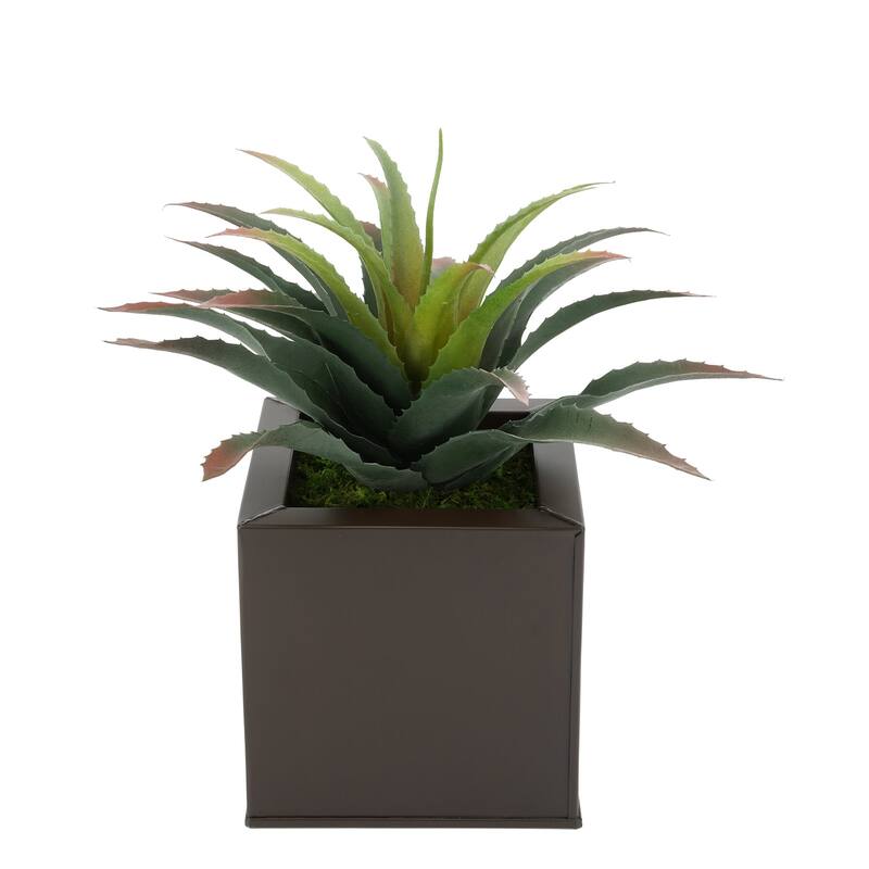 Faux Star Succulent in Square Zinc Planter