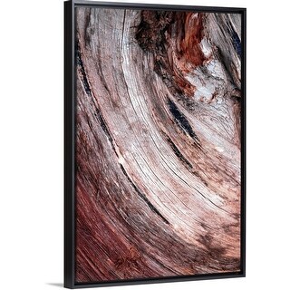 Shop Round Knot In A Tree Trunk Black Float Frame Canvas Art