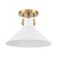 Option White with Natural Brass