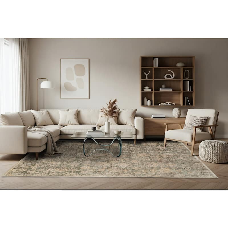 Dynamic Rugs Charlotte Traditional Area Rug