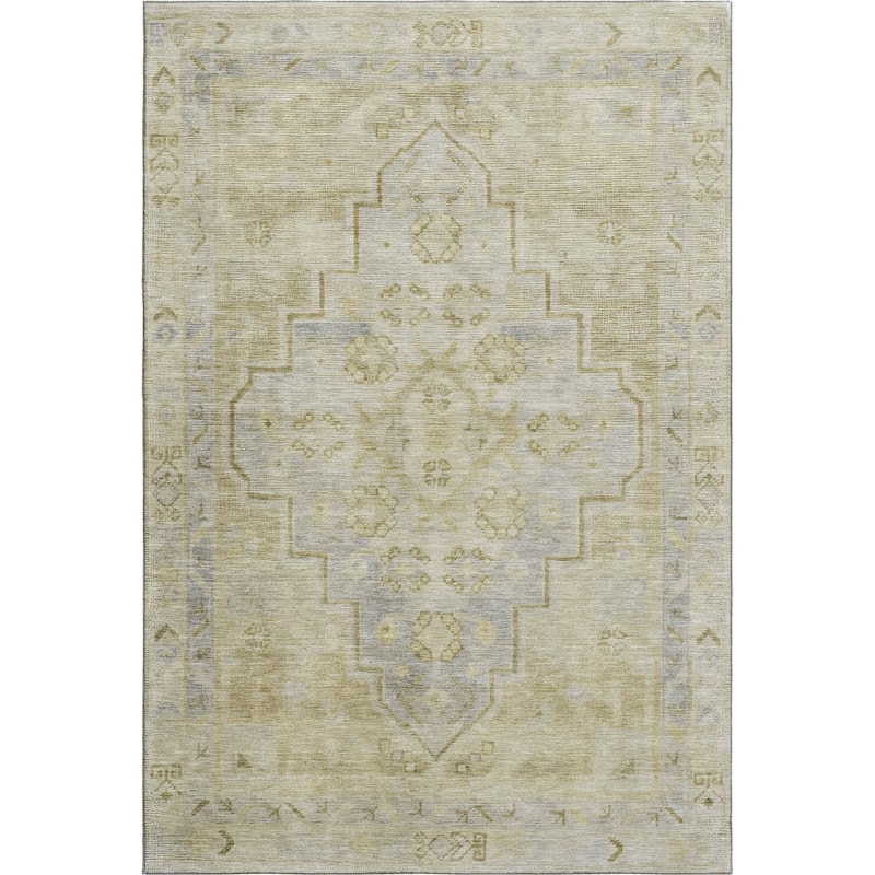 Premium Washable Super Soft Vintage Traditional Mayfield Rug