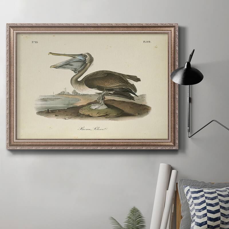 Audubons Brown Pelican Premium Framed Canvas- Ready to Hang