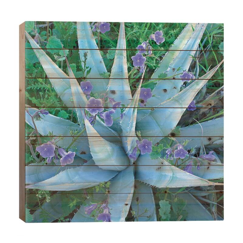 Bluebell And Agave, North America II Print On Wood by Tim Fitzharris - Multi-Color - 26x26x1.5