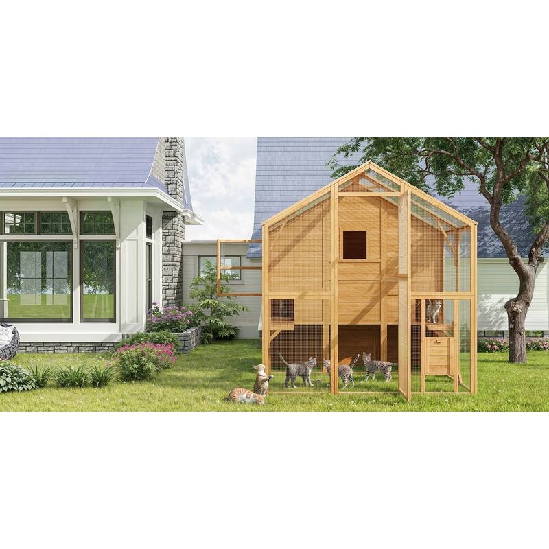 Cat Catio Window Box for 6 to 8 Kittens, Lockable House with 5 Windows