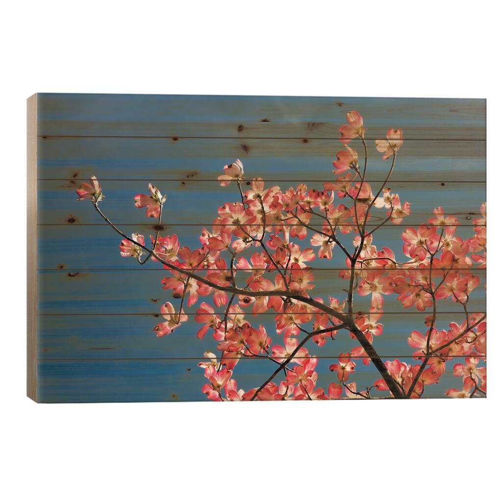 Pink dogwood tree against blue sky, Lexington, Kentucky Print On Wood by Adam Jones - Multi-Color