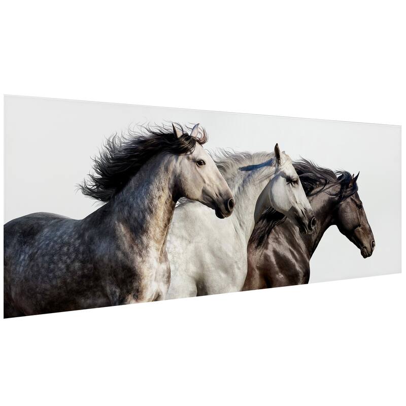 "Trilogy 1" Horse Wall Art Frameless Free Floating Tempered Glass Panel