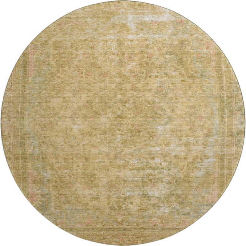 Premium Washable Super Soft Vintage Traditional Mayfield Rug