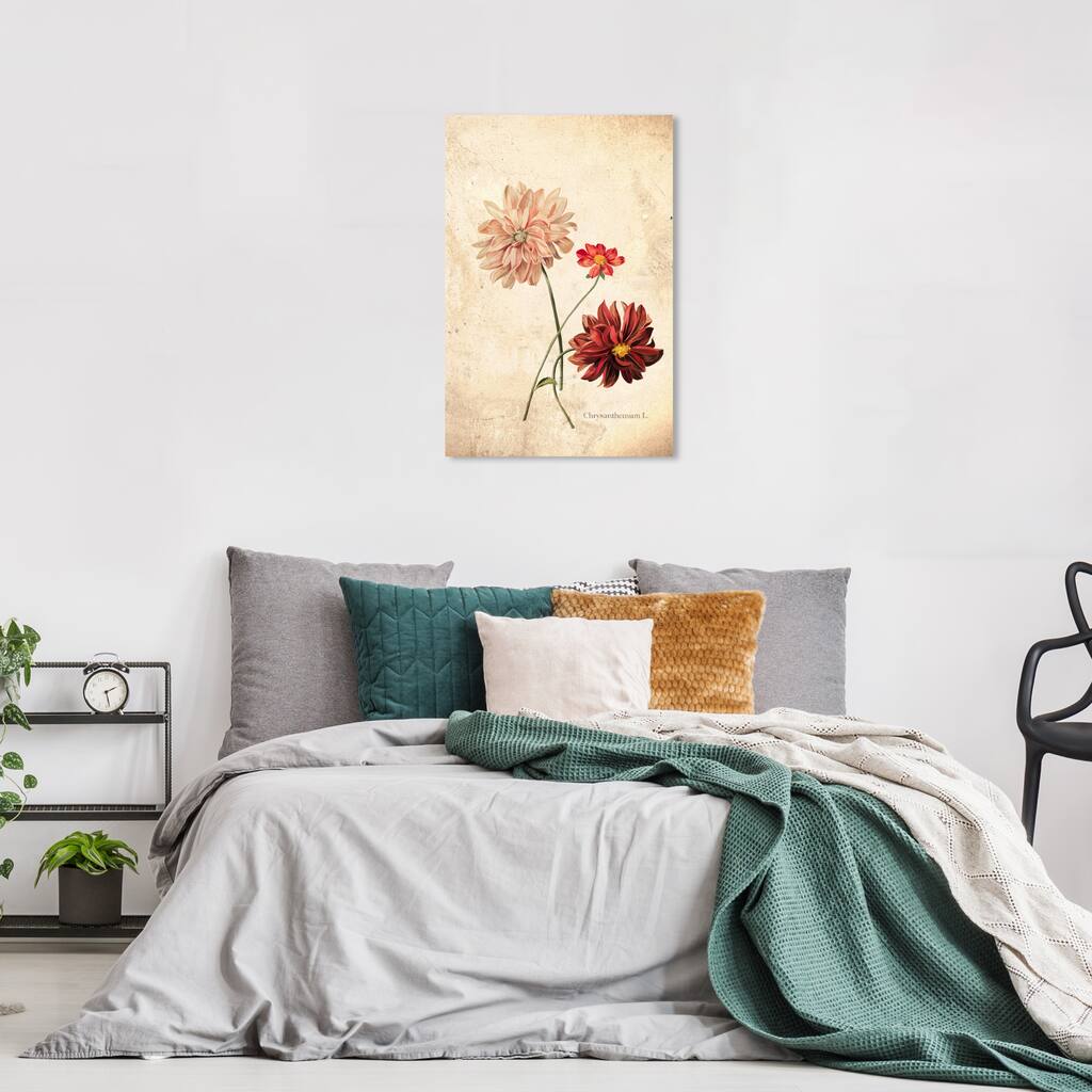Wynwood Studio Canvas Floral and Botanical Chrysanthemum Botanical White and Vanilla Traditional Wall Art Canvas Print