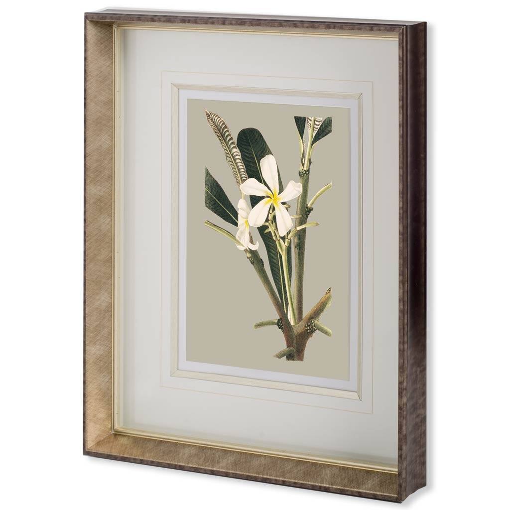 Custom Botanical Cabinet IV (MC) Framed Art Print