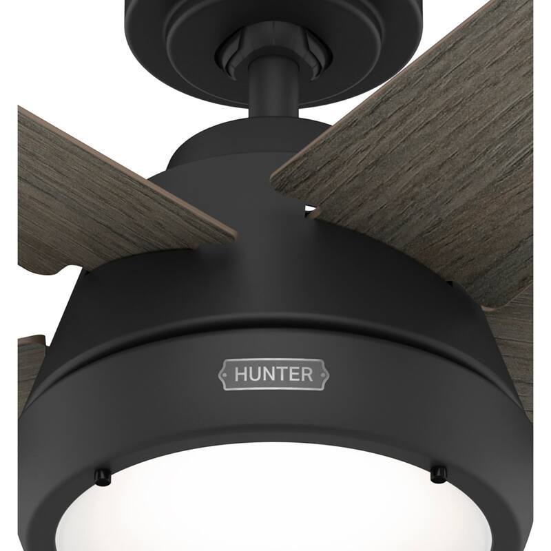Hunter 52" Burroughs Ceiling Fan w/ LED Light Kit, Handheld Remote - Transitional, Industrial
