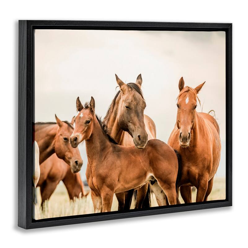 Stupell Horse & Foals Photography Framed Floater Canvas Wall Art Design by Krista Broadway
