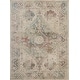 preview thumbnail 38 of 42, Nourison Fusion Vintage Distressed Area Rug
