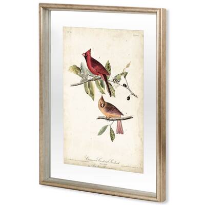 Common Cardinal Grosbeak Framed Art Print
