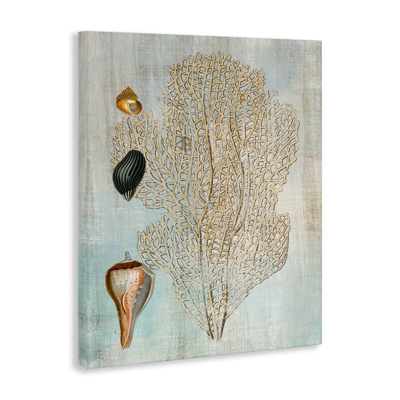 Stupell Detailed Coral & Seashells Canvas Wall Art Design By Susan Arnot