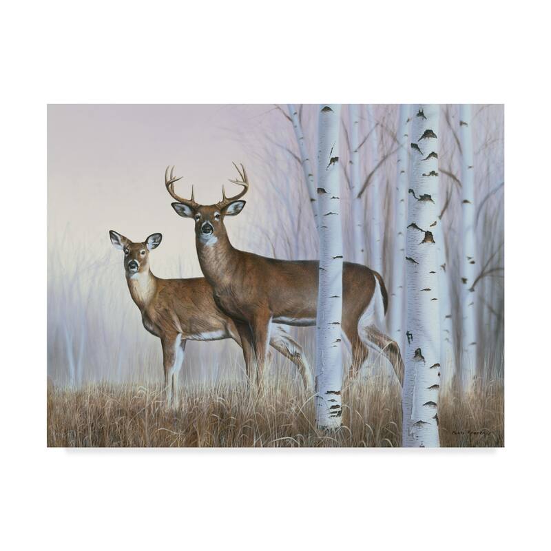 Rusty Frentner 'Deer In Birch Woods' Canvas Art