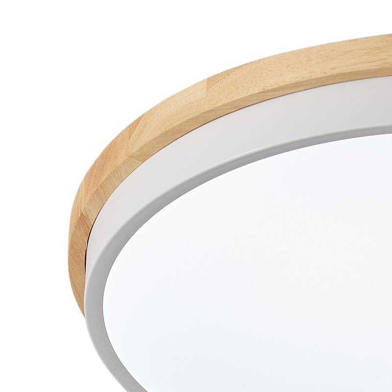 Modern Concise 1-Light Circle LED Flush Mount Ceiling Lighting Fixture