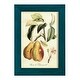 preview thumbnail 19 of 138, Printed Tuscan Fruits IV -Framed Print w/glass-Cherry Red 4x6 - Blue