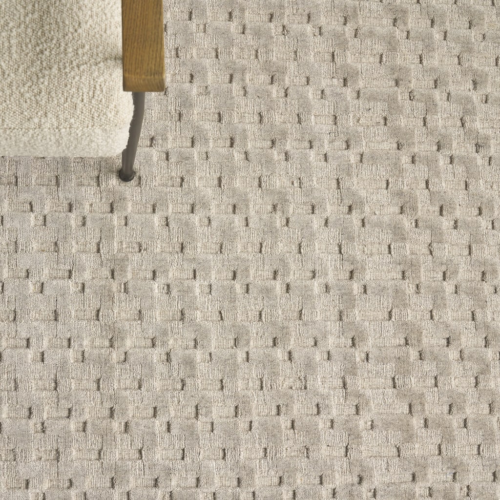 EXQUISITE RUGS Monroe Silk Hand-loomed Bamboo Silk Light Taupe Area Rug.