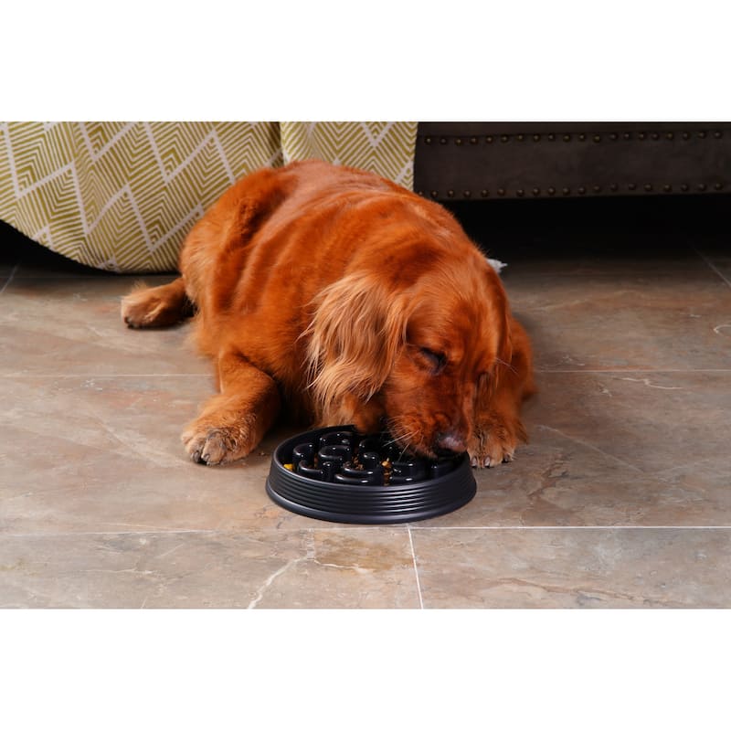 Abode Homewares Slow Chow Medallion Polypropylene Slow Feeder