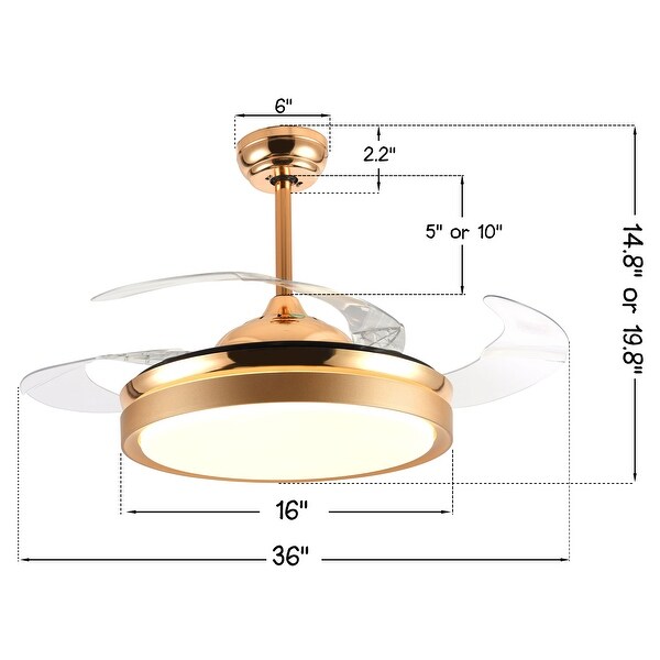 circular ceiling fan with light