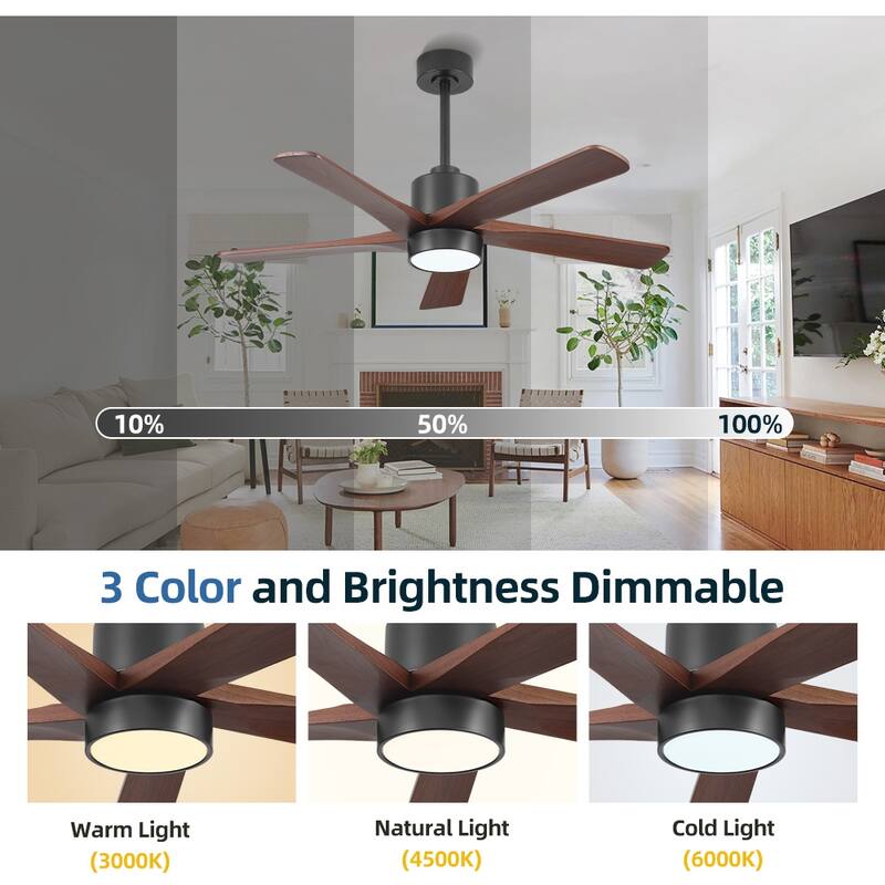 WINGBO 54" and 64" 5 ABS Blades DC Motor Indoor Ceiling Fan with Light & Remote