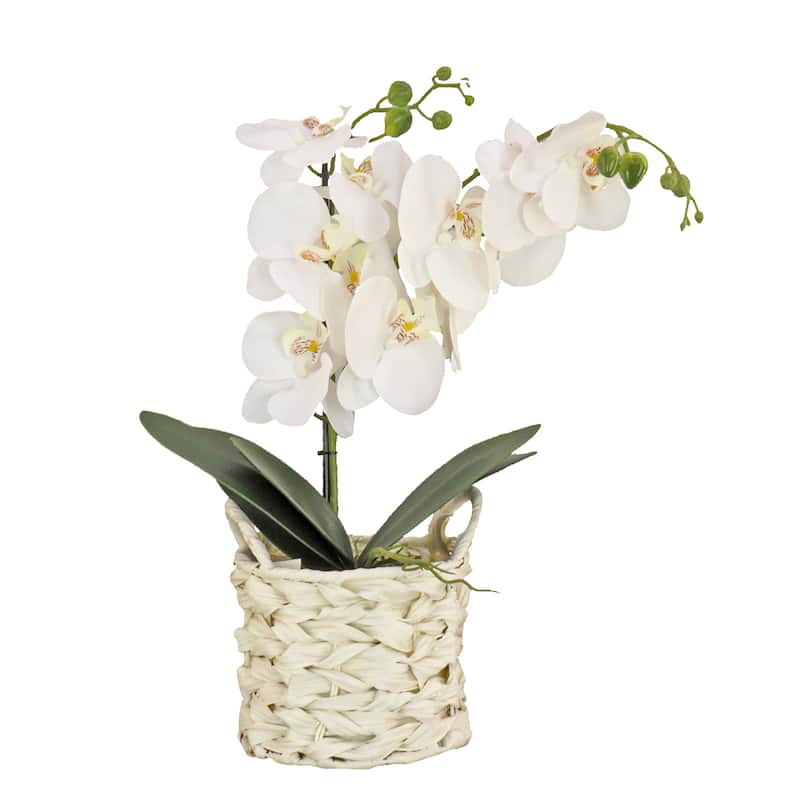 National Tree Company 21 in. White Orchid Flower in White Basket - 21 in