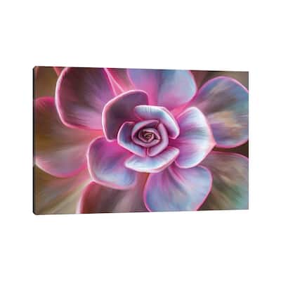 iCanvas "Pink Mandala" by Juliana Loomer Canvas Print