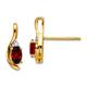 Option Garnet