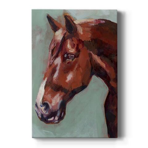 Paint by Number Horse I Premium Gallery Wrapped Canvas - Ready to Hang