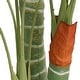 preview thumbnail 10 of 9, vidaXL Artificial Palm Tree with 3 Trunks Green 33.5"/47.2"/70.9" PP