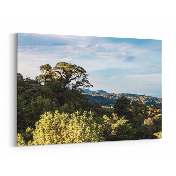 Shop San José Costa Rica Forest Jungle Canvas Wall Art ... One of the shipping options was to wait until later and receive a $10 coupon.