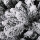 preview thumbnail 18 of 131, Glitzhome 6FT/7.5FT/9FT/11FT Snow Flocked Pre-lit Artificial Fir Christmas Trees