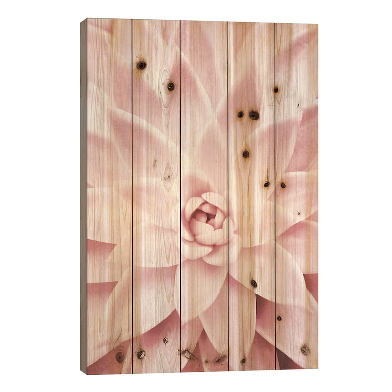 Pink Succulent Print On Wood by Sisi & Seb - Multi-Color - 26x18x1.5