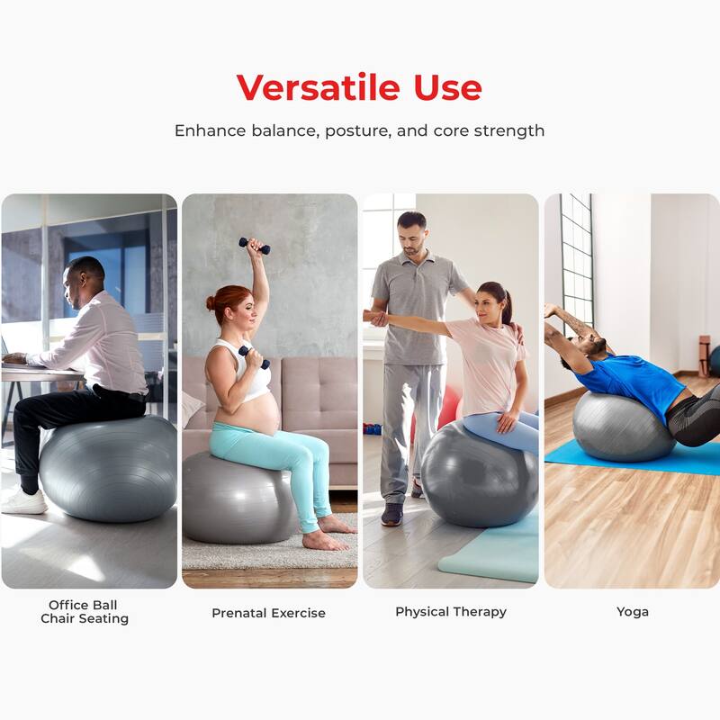Sunny Health & Fitness Premium Yoga Ball Medium 65CM SF-EB02