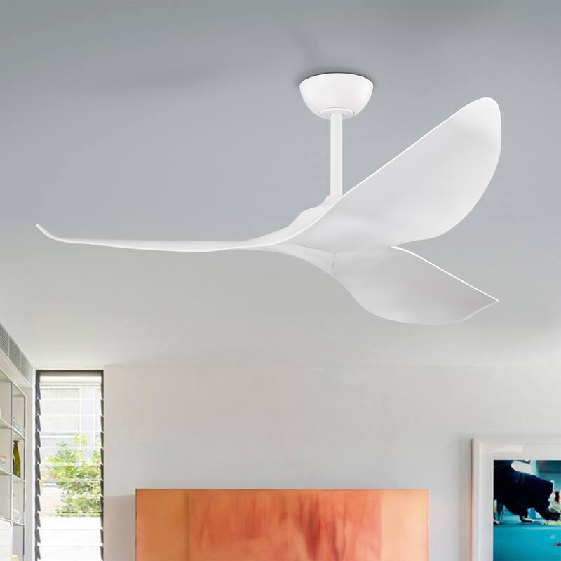 Duncan Modern 3 Bladed Ceiling Fan with Remote