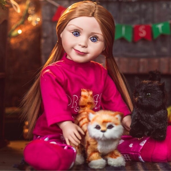 american girl doll pet accessories