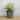GDFStudio - Farmhouse 2-Piece Wicker Smart Self-Watering Round Planter Pots with Water Level Indicator for Indoor & Outdoor Use
