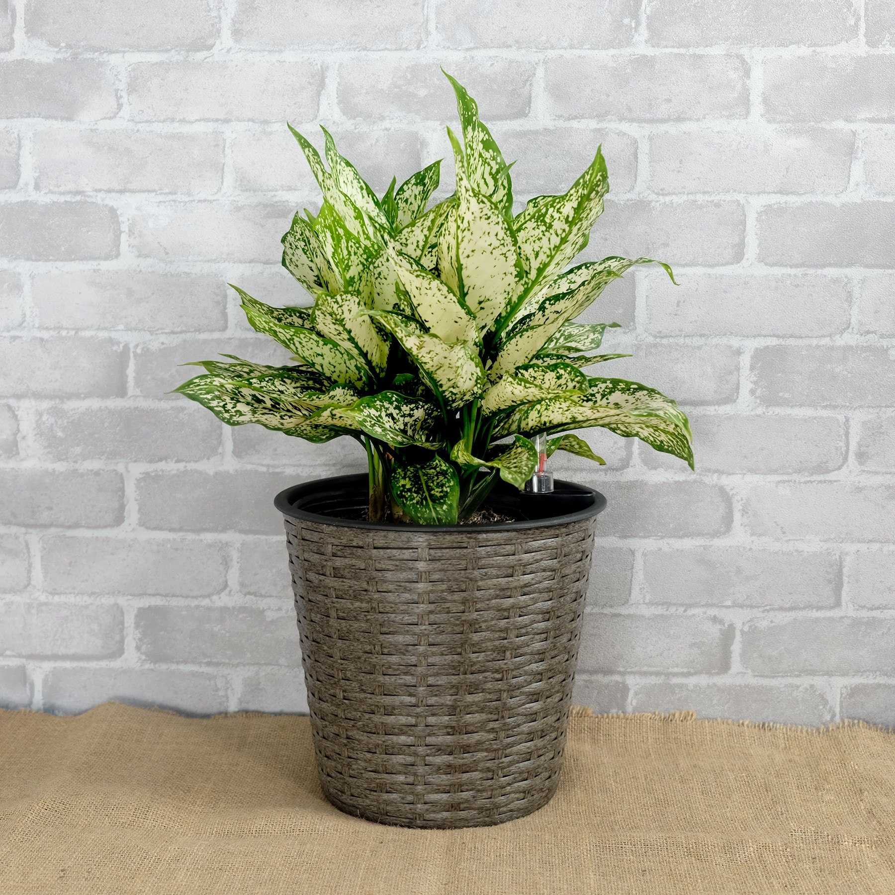GDFStudio - Farmhouse 2-Piece Wicker Smart Self-Watering Round Planter Pots with Water Level Indicator for Indoor & Outdoor Use