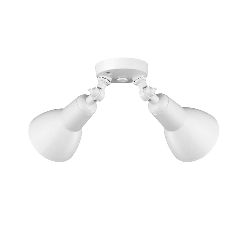 Millennium Lighting 2 Light LED Flood Light Fixture