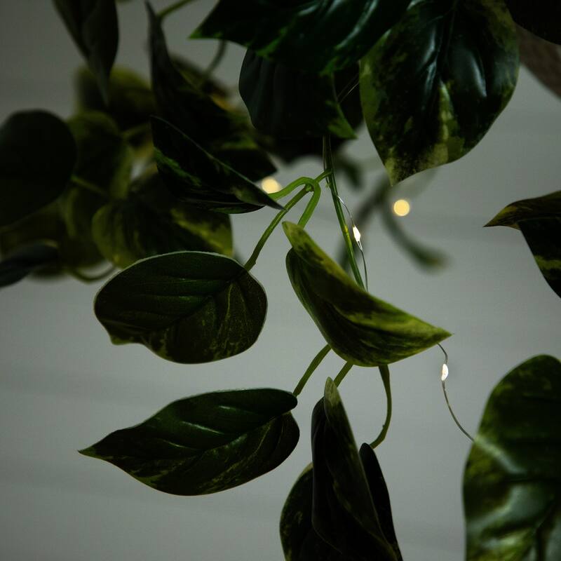 Pre-Lit Pothos Artificial Plant - 24" - Warm White LED Lights