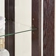preview thumbnail 51 of 73, GDFStudio - Traditional Storage Lighted Curio Display Cabinet with Glass Doors and Drawer