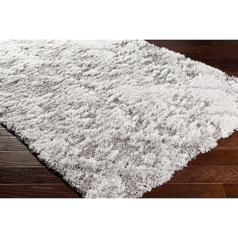 Livabliss Chace Distressed Trellis Shag Area Rug