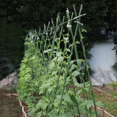 Agfabric Garden Stakes Plant Supporting Stakes Pack of 8, Dark Green - 1/4''x4'