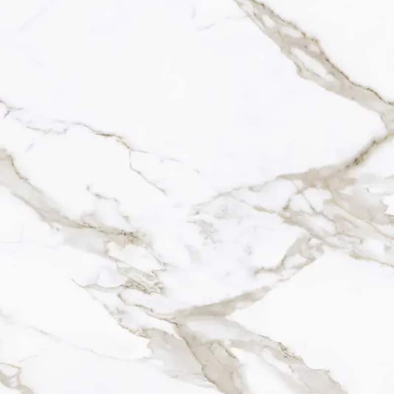 Regalia 24x24 in. Matte Color Body Porcelain Marble-look Vein Large Wall and Floor Tile (15.5 sq ft/case, 4-Pack)