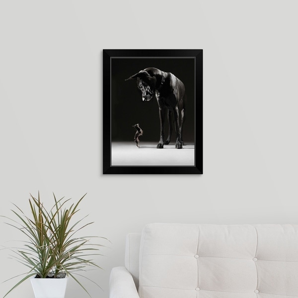 "A Chihuahua standing on its hind legs facing the Great Dane" Black Framed Print